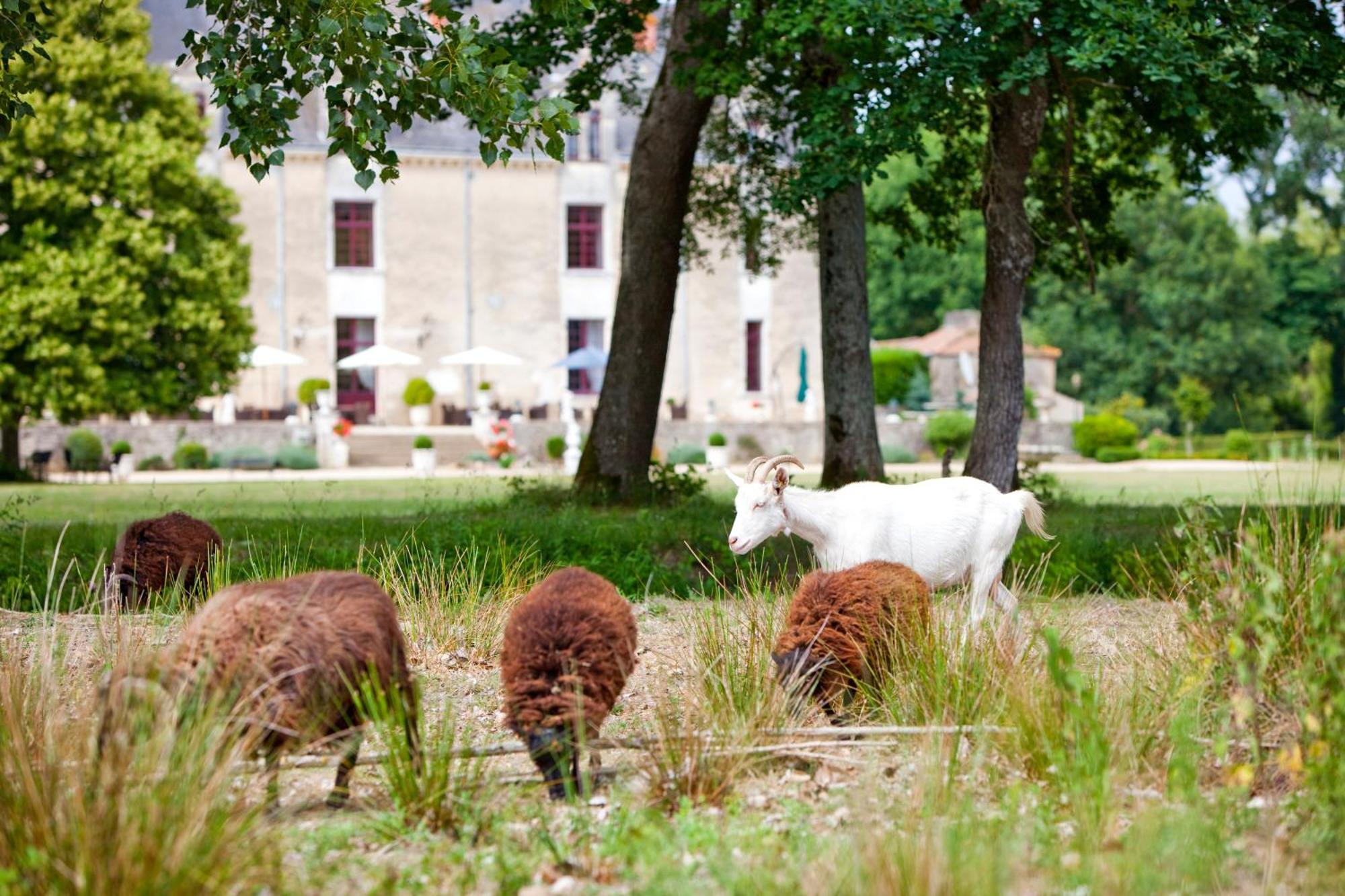 Chateau De La Verie 샬랑 외부 사진