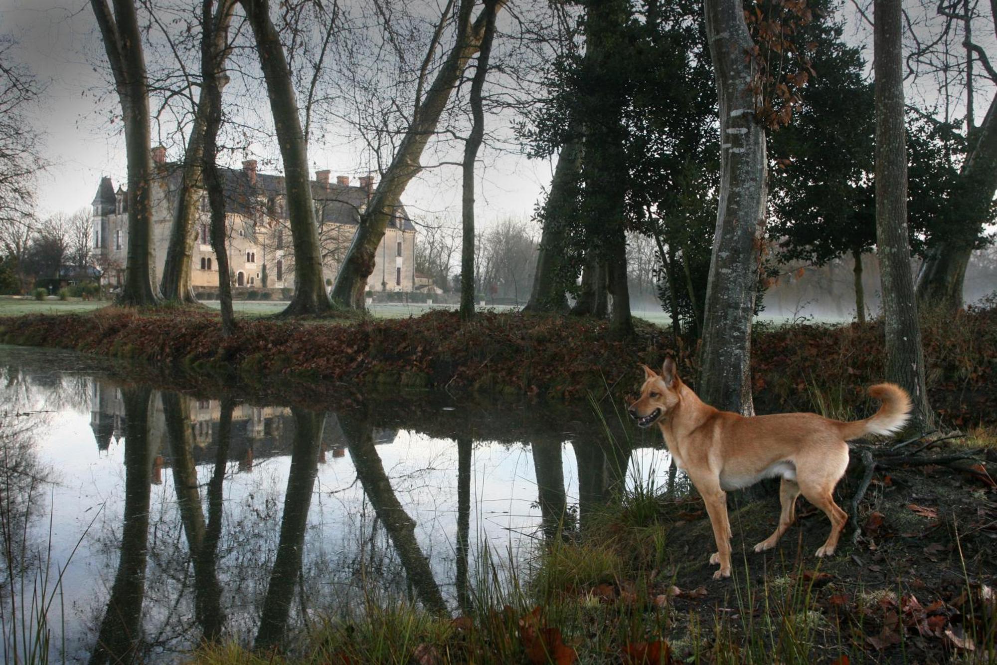 Chateau De La Verie 샬랑 외부 사진